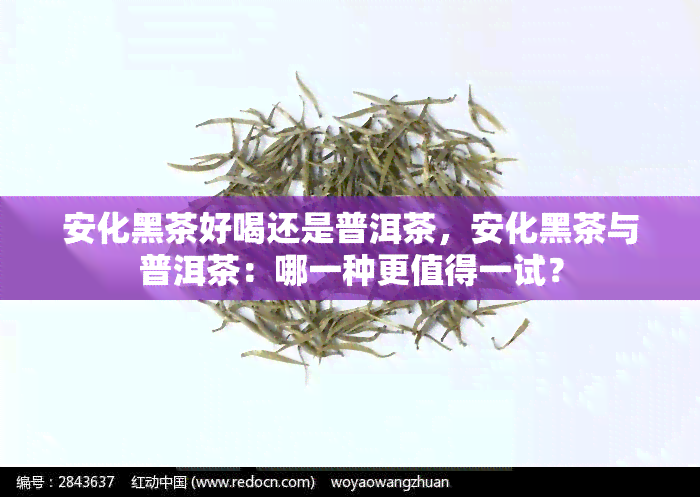 安化黑茶好喝还是普洱茶，安化黑茶与普洱茶：哪一种更值得一试？