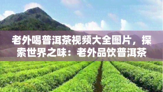 老外喝普洱茶视频大全图片，探索世界之味：老外品饮普洱茶的全过程图文记录