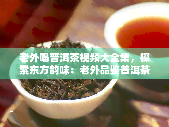 老外喝普洱茶视频大全集，探索东方韵味：老外品鉴普洱茶的全程记录