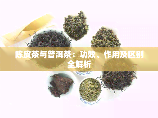 陈皮茶与普洱茶：功效、作用及区别全解析