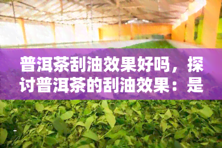 普洱茶刮油效果好吗，探讨普洱茶的刮油效果：是否真的有效？