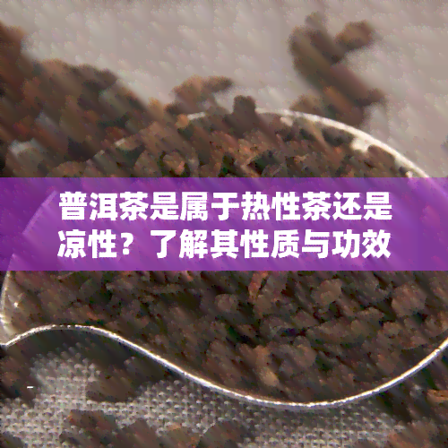 普洱茶是属于热性茶还是凉性？了解其性质与功效