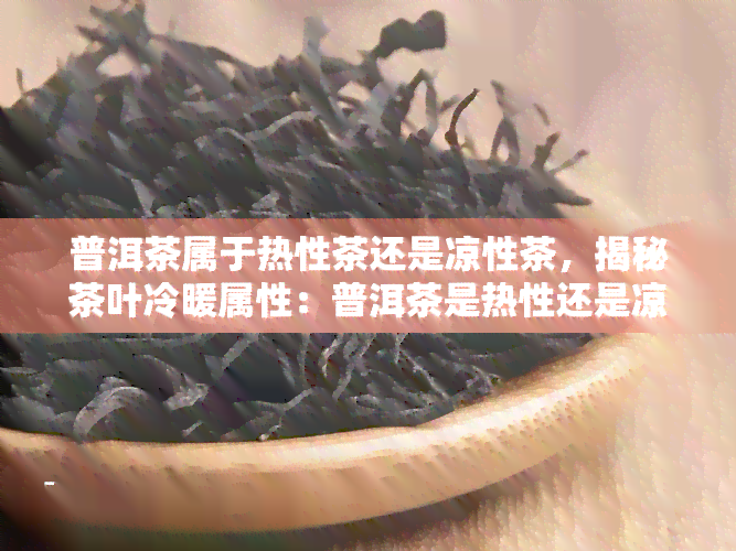 普洱茶属于热性茶还是凉性茶，揭秘茶叶冷暖属性：普洱茶是热性还是凉性？