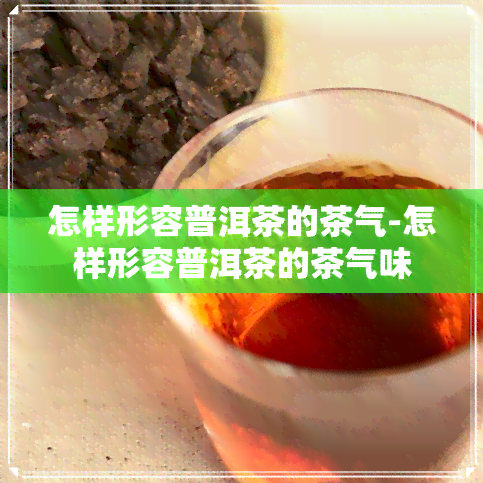 怎样形容普洱茶的茶气-怎样形容普洱茶的茶气味