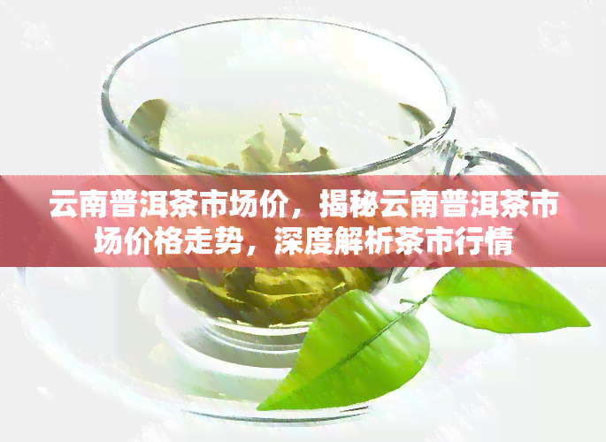 云南普洱茶市场价，揭秘云南普洱茶市场价格走势，深度解析茶市行情