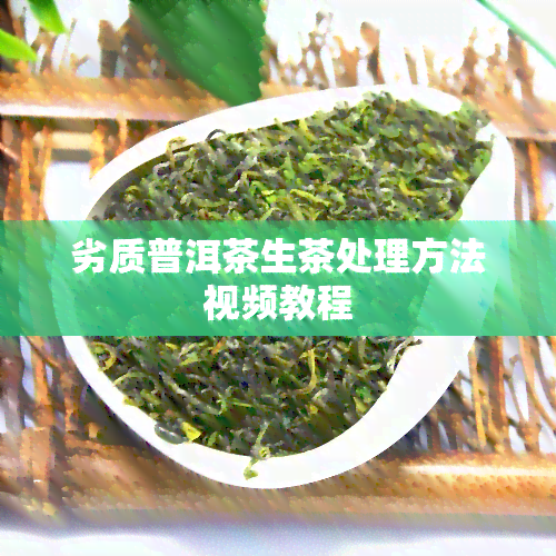 劣质普洱茶生茶处理方法视频教程