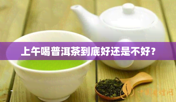 上午喝普洱茶到底好还是不好？