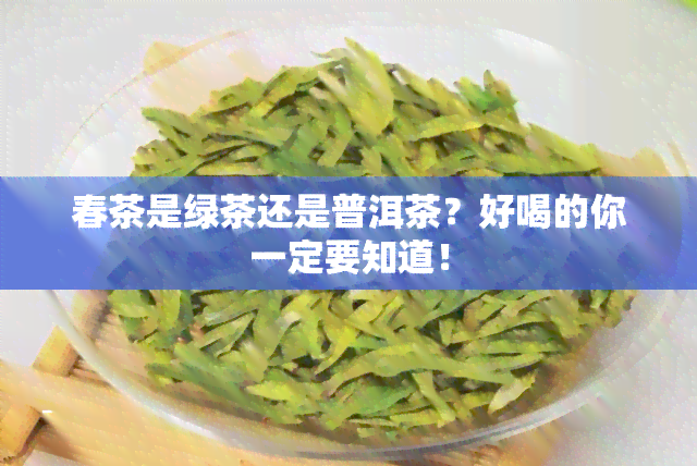 春茶是绿茶还是普洱茶？好喝的你一定要知道！