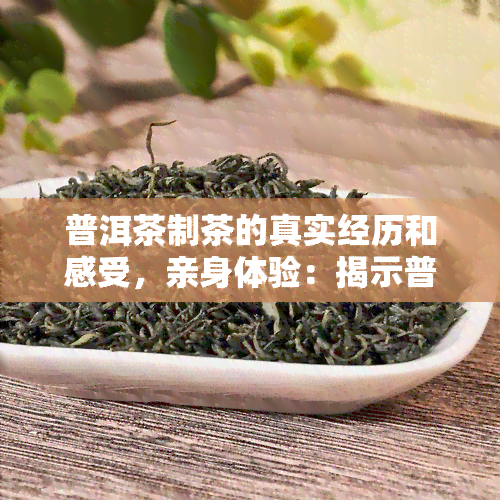 普洱茶制茶的真实经历和感受，亲身体验：揭示普洱茶制作的真实过程与独特感受