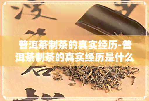 普洱茶制茶的真实经历-普洱茶制茶的真实经历是什么