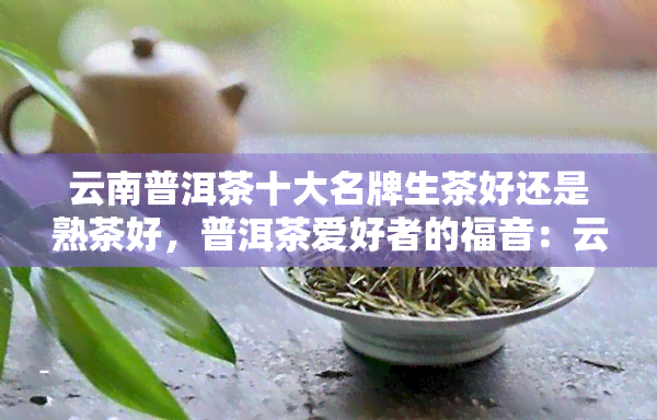 云南普洱茶十大名牌生茶好还是熟茶好，普洱茶爱好者的福音：云南普洱茶十大名牌生茶与熟茶的口感对比分析