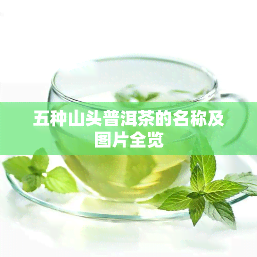 五种山头普洱茶的名称及图片全览