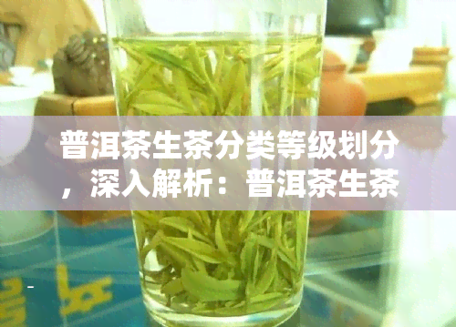 普洱茶生茶分类等级划分，深入解析：普洱茶生茶的分类与等级划分