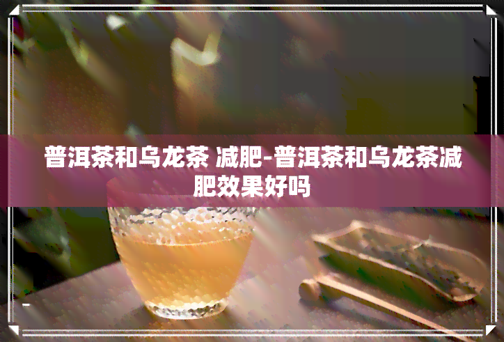 普洱茶和乌龙茶 减肥-普洱茶和乌龙茶减肥效果好吗