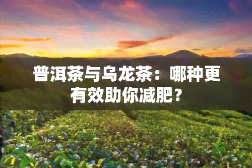 普洱茶与乌龙茶：哪种更有效助你减肥？