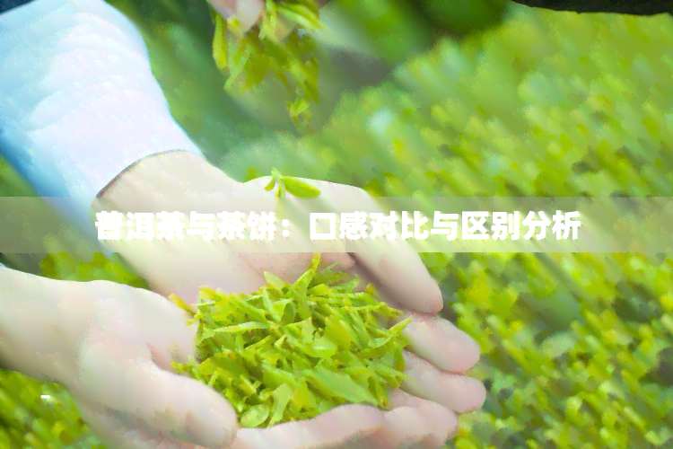 普洱茶与茶饼：口感对比与区别分析