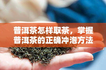 普洱茶怎样取茶，掌握普洱茶的正确冲泡方法：如何取出茶叶？