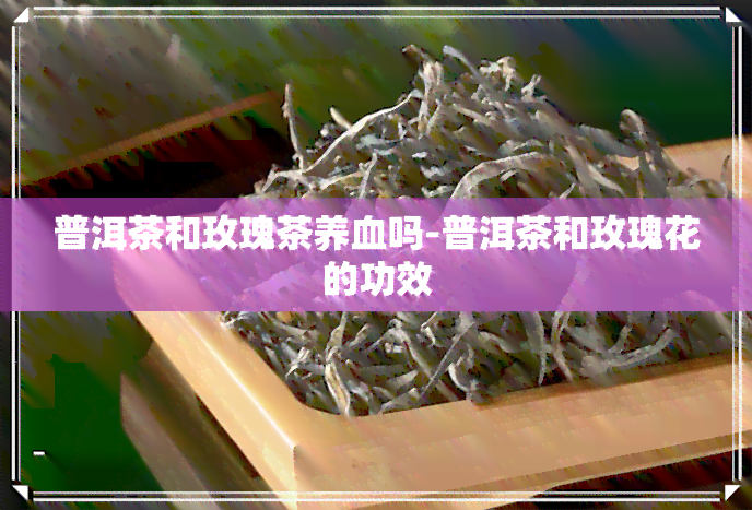 普洱茶和玫瑰茶养血吗-普洱茶和玫瑰花的功效