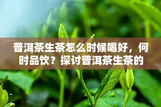 普洱茶生茶怎么时候喝好，何时品饮？探讨普洱茶生茶的饮用时机