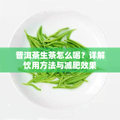 普洱茶生茶怎么喝？详解饮用方法与减肥效果