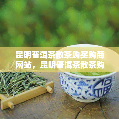 昆明普洱茶散茶购买购商网站，昆明普洱茶散茶购买网站推荐，一站式购商平台