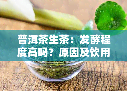 普洱茶生茶：发酵程度高吗？原因及饮用建议