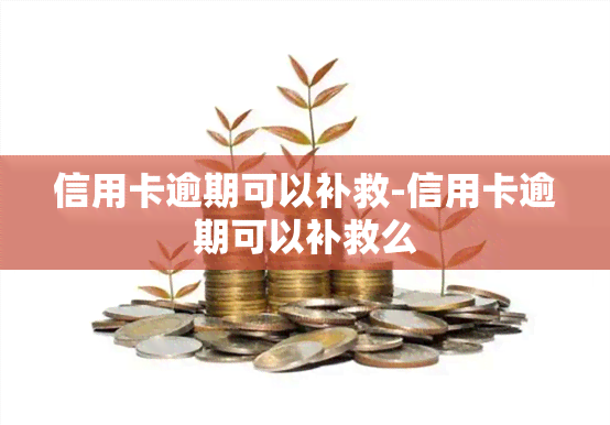 信用卡逾期可以补救-信用卡逾期可以补救么