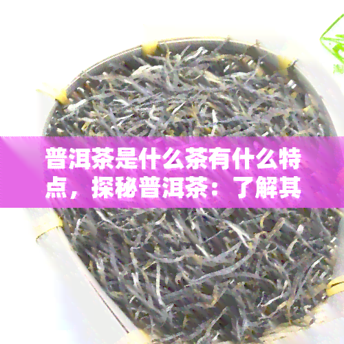 普洱茶是什么茶有什么特点，探秘普洱茶：了解其独特品种与显著特点