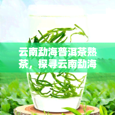 云南勐海普洱茶熟茶，探寻云南勐海：品味普洱茶熟茶的独特魅力