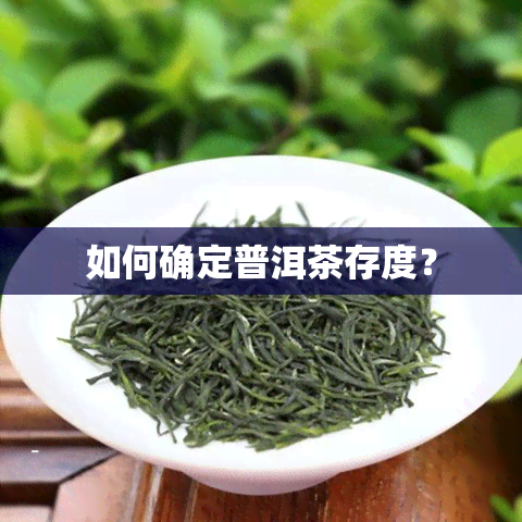 如何确定普洱茶存度？