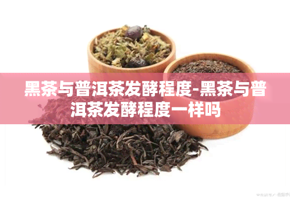 黑茶与普洱茶发酵程度-黑茶与普洱茶发酵程度一样吗