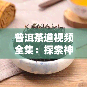 普洱茶道视频全集：探索神秘的普洱茶世界