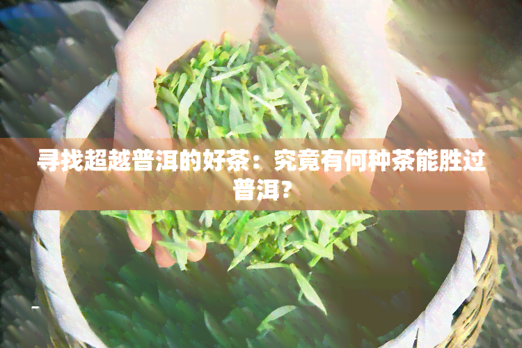 寻找超越普洱的好茶：究竟有何种茶能胜过普洱？