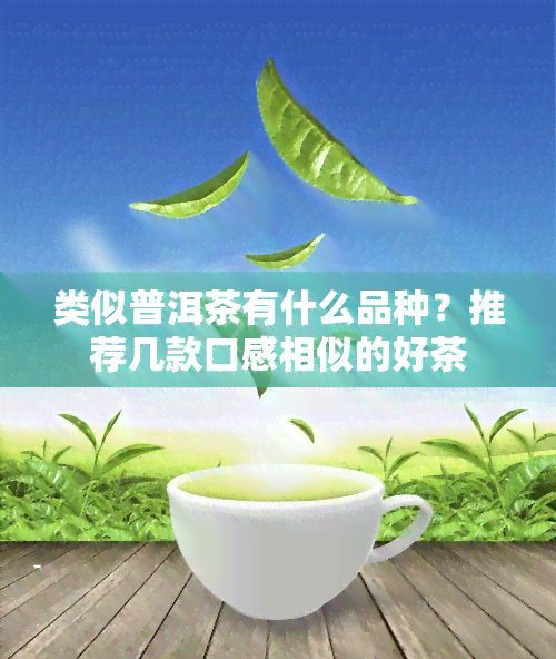 类似普洱茶有什么品种？推荐几款口感相似的好茶