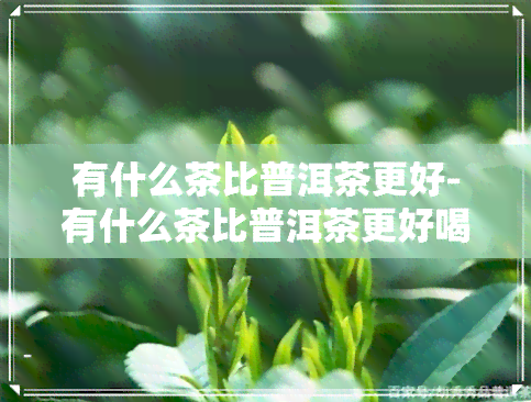 有什么茶比普洱茶更好-有什么茶比普洱茶更好喝