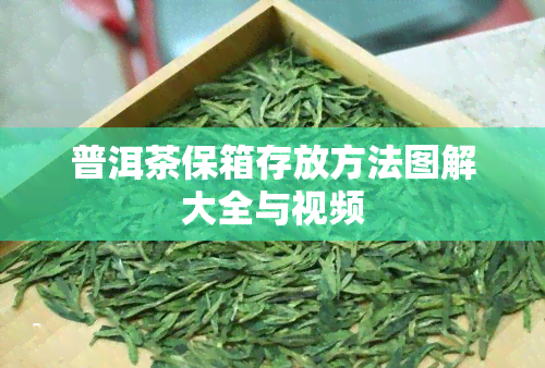 普洱茶保箱存放方法图解大全与视频