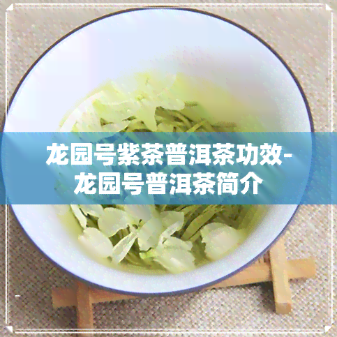 龙园号紫茶普洱茶功效-龙园号普洱茶简介