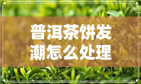 普洱茶饼发潮怎么处理-普洱茶饼发潮怎么处理好