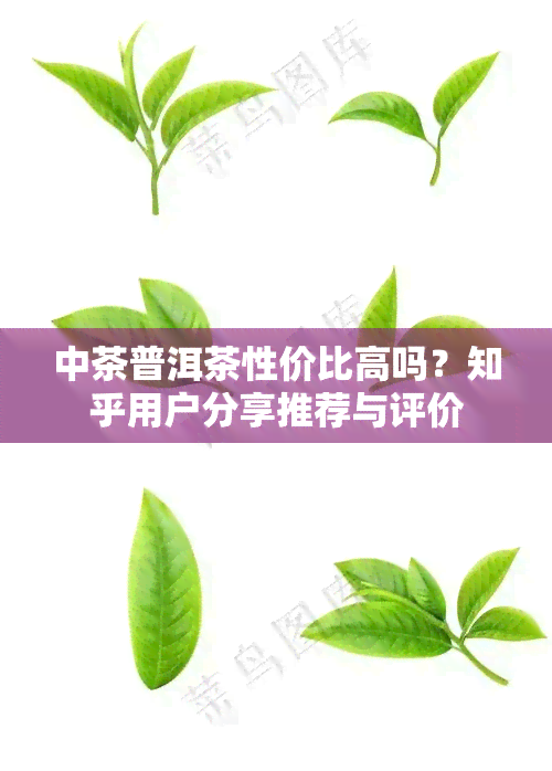 中茶普洱茶性价比高吗？知乎用户分享推荐与评价