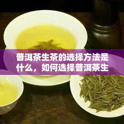 普洱茶生茶的选择方法是什么，如何选择普洱茶生茶：一份全面的指南