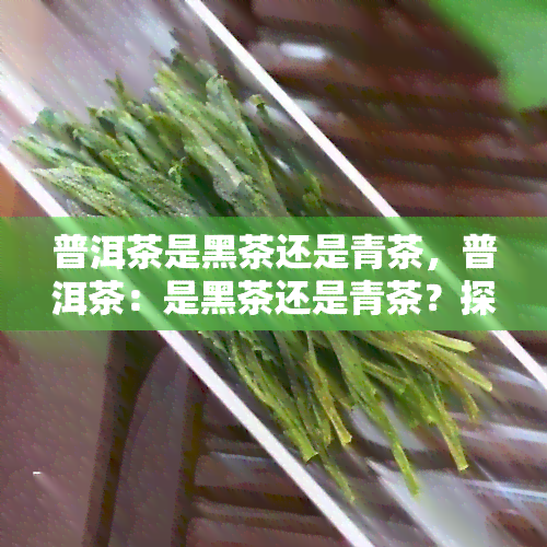 普洱茶是黑茶还是青茶，普洱茶：是黑茶还是青茶？探讨其分类和特点