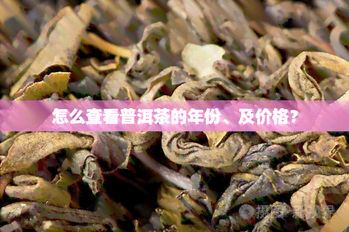 怎么查看普洱茶的年份、及价格？