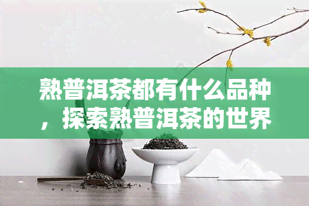 熟普洱茶都有什么品种，探索熟普洱茶的世界：了解其各种品种