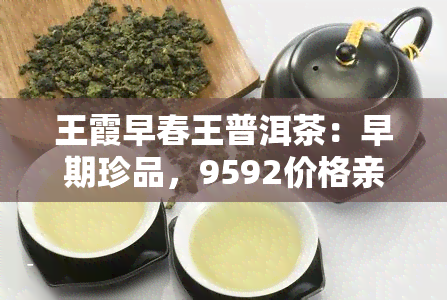 王霞早春王普洱茶：早期珍品，9592价格亲民