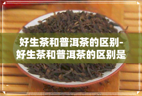 好生茶和普洱茶的区别-好生茶和普洱茶的区别是什么