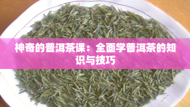 神奇的普洱茶课：全面学普洱茶的知识与技巧