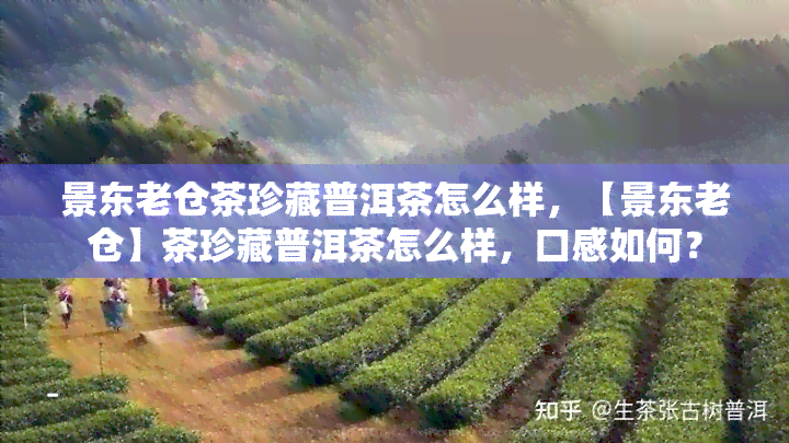 景东老仓茶珍藏普洱茶怎么样，【景东老仓】茶珍藏普洱茶怎么样，口感如何？