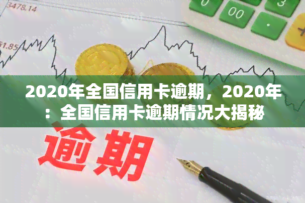 2020年全国信用卡逾期，2020年：全国信用卡逾期情况大揭秘