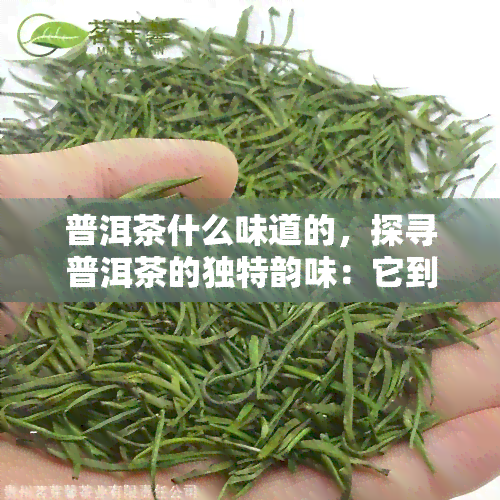 普洱茶什么味道的，探寻普洱茶的独特韵味：它到底是什么味道？