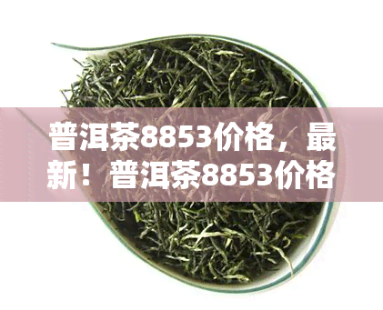 普洱茶8853价格，最新！普洱茶8853价格全解析，收藏必备！